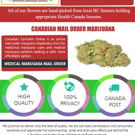 Cannabis Dispensary Online Canada: Cannabis Dispensary Online Canada