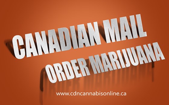 Cannabis Dispensary Online Canada: Best Mail Order Marijuana Canada